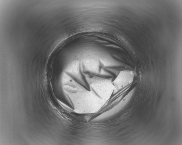 X0000059250676200511111642