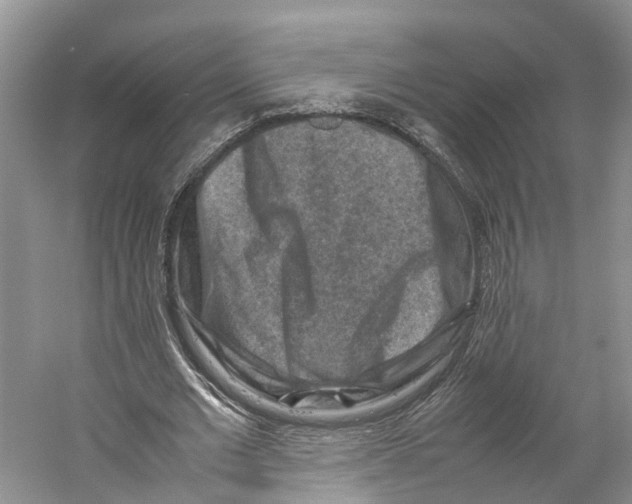 X0000059250677200511111642