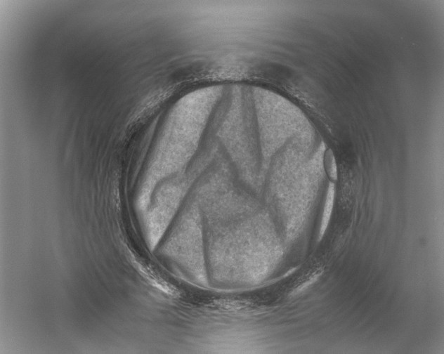 X0000059250681200511111642