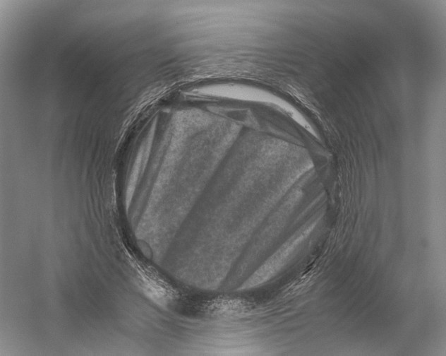 X0000059250685200511111642