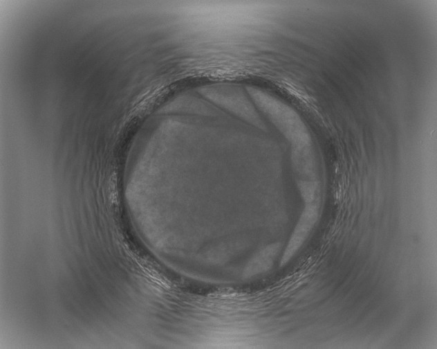 X0000059250689200511111641