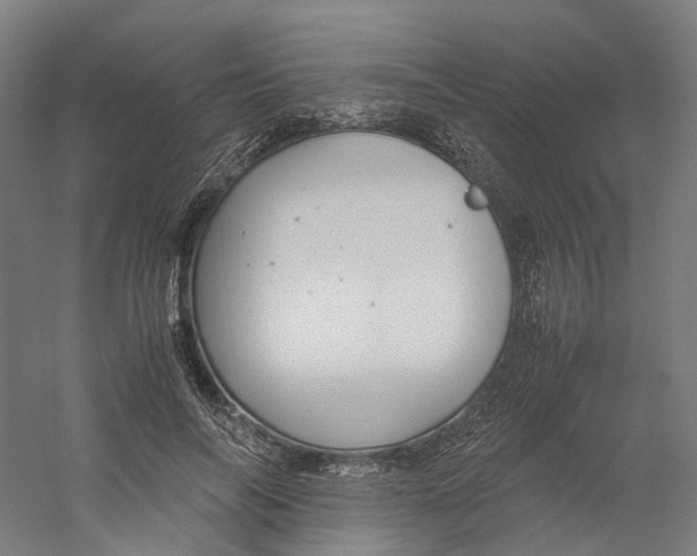 X0000059250694200511111641