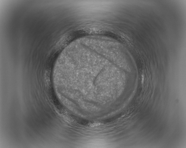 X0000059250695200511111641