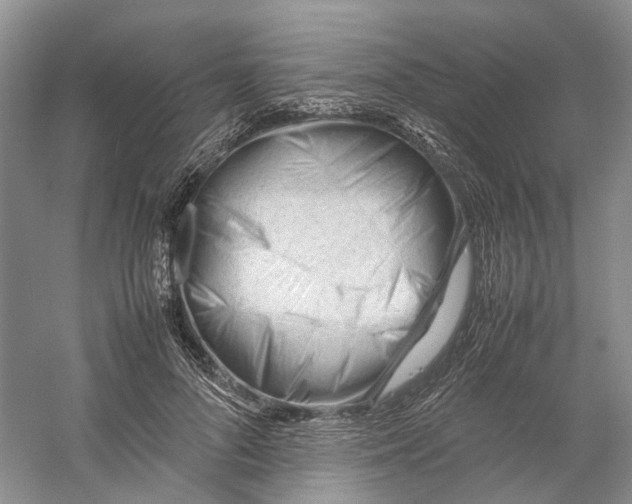 X0000059250696200511111641