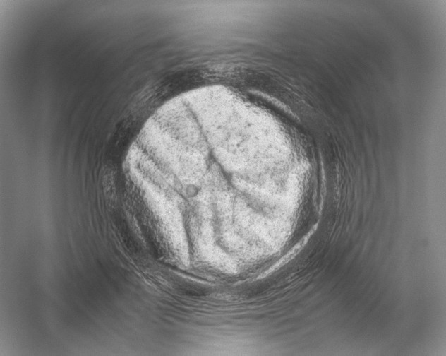 X0000059250699200511111641