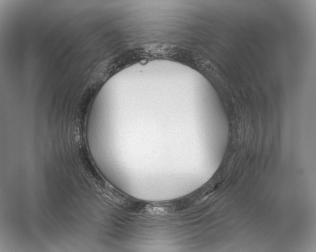 X0000059250706200511111641