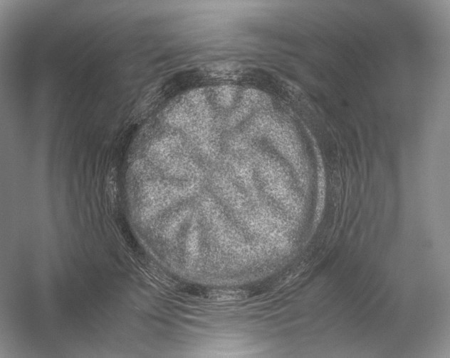 X0000059250707200511111641