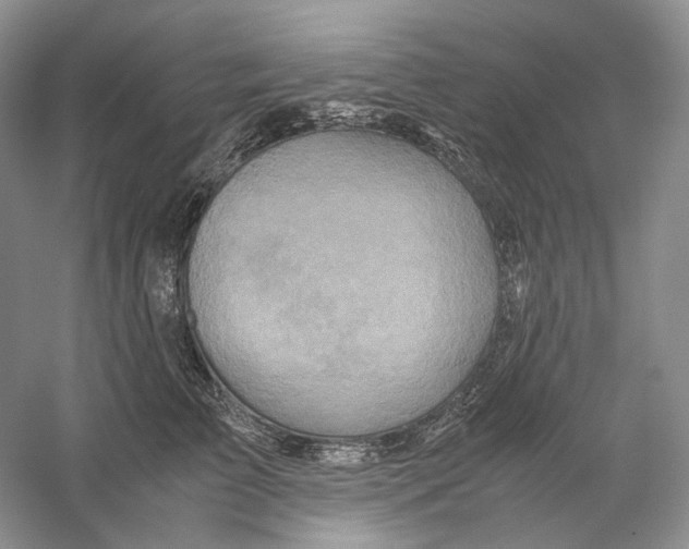 X0000059250709200511111641