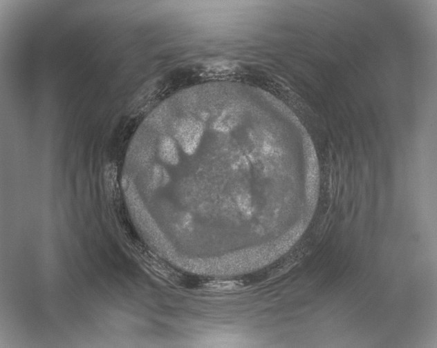 X0000059250711200511111641