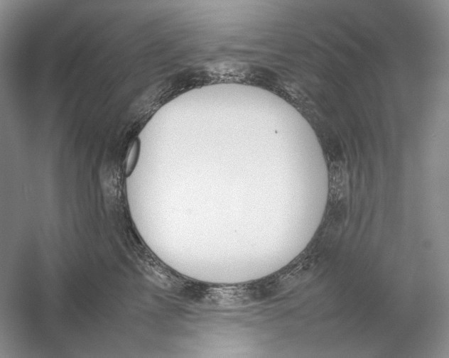 X0000059250713200511111641