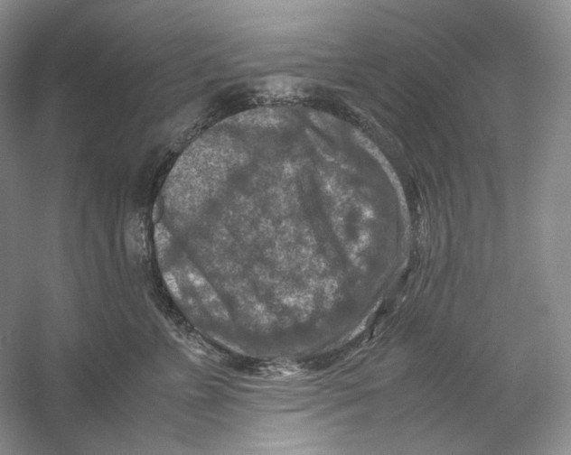 X0000059250715200511111641