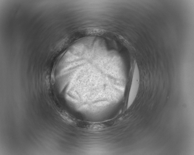 X0000059250716200511111641