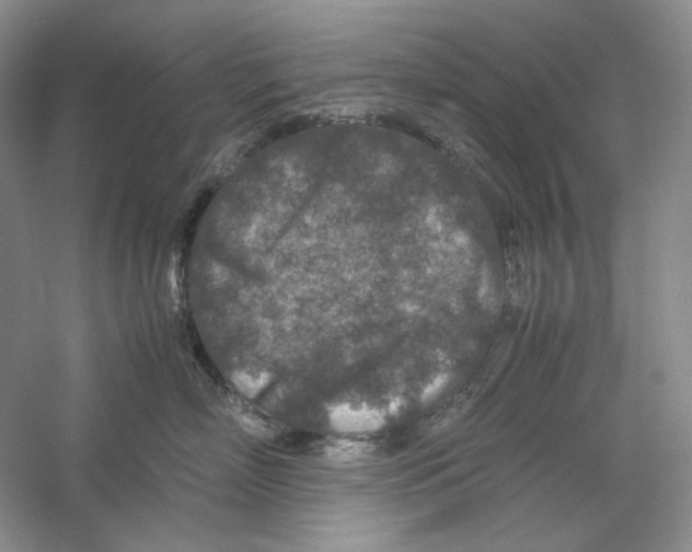 X0000059250718200511111641