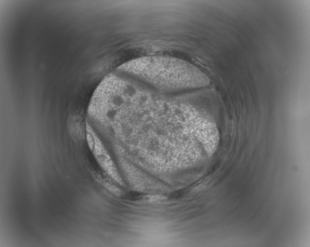 X0000059250719200511111641