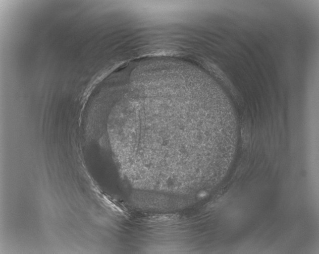 X0000059250721200511111640