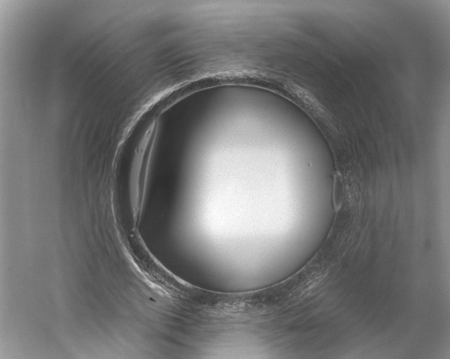 X0000059250728200511111640