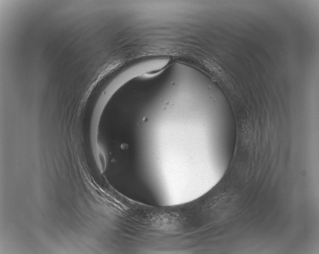 X0000059250731200511111640