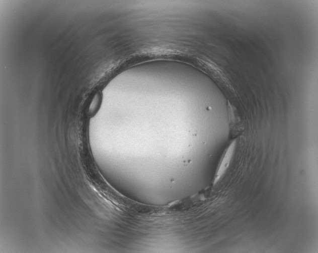 X0000059250732200511111640