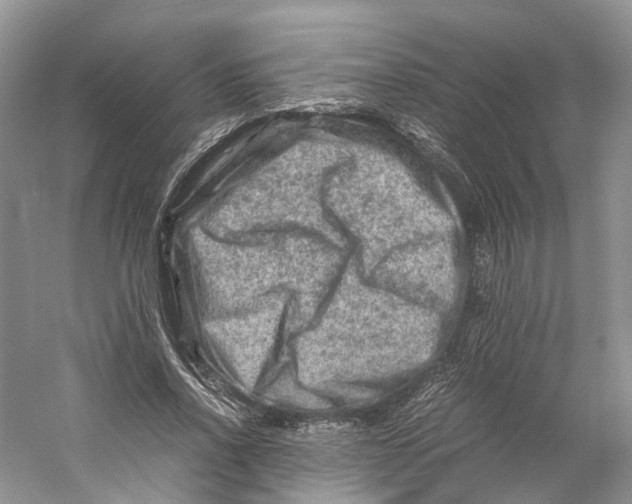 X0000059250734200511111640