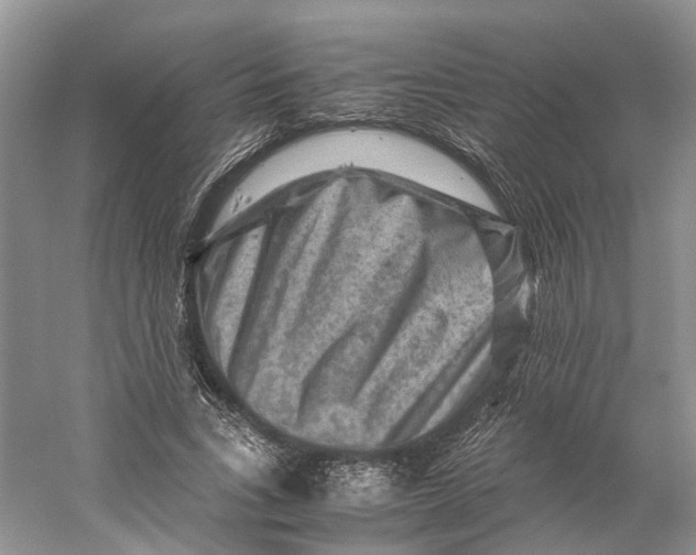 X0000059250735200511111640