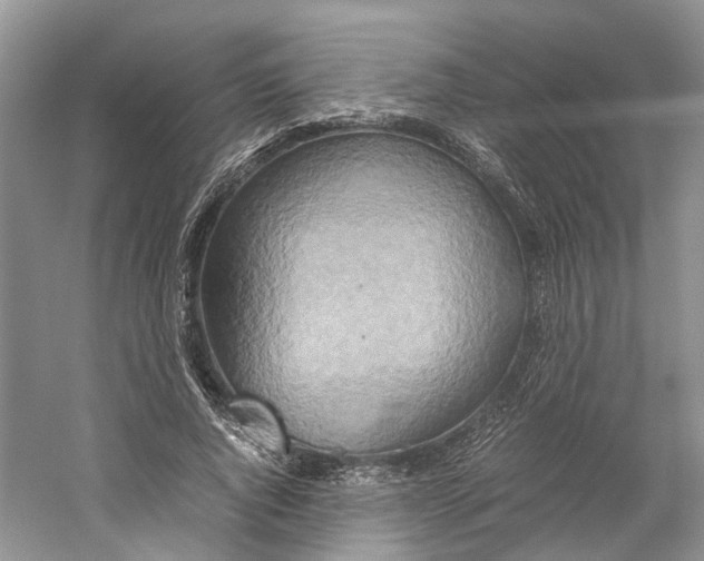 X0000059250736200511111640