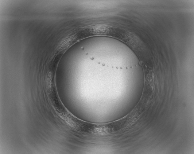 X0000059250744200511111641