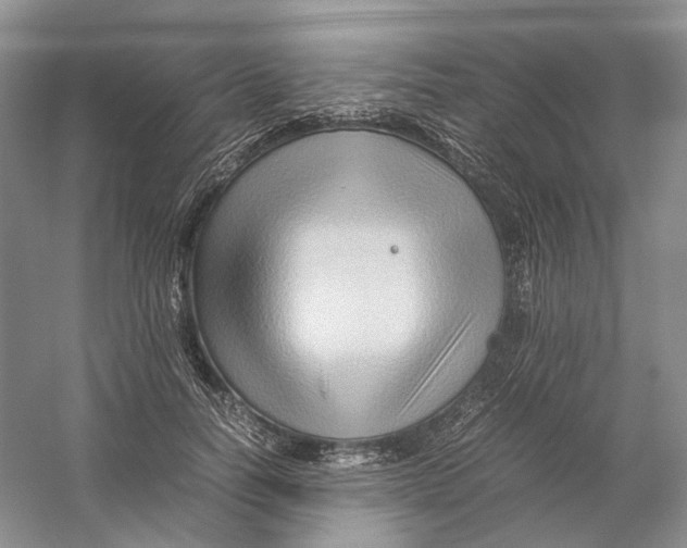 X0000059250746200511111641