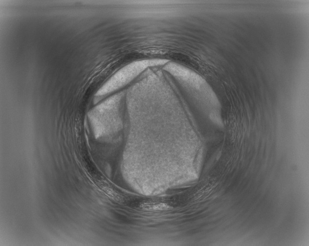 X0000059250747200511111641