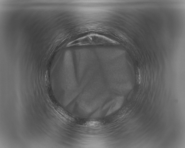 X0000059250748200511111641