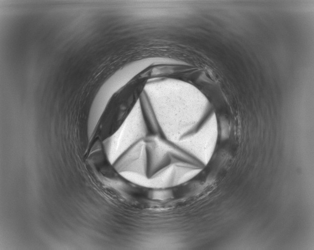 X0000059250750200511111641