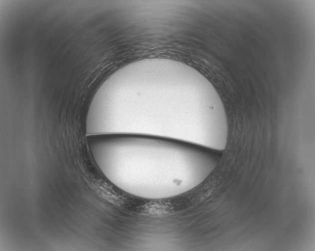 X0000059250756200511111641