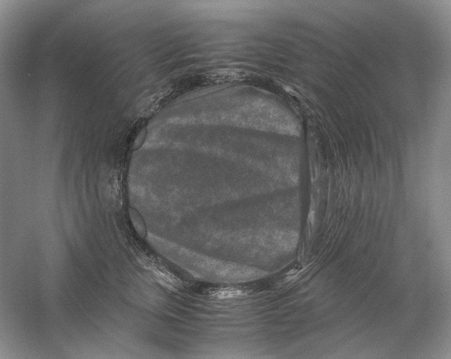 X0000059250759200511111641