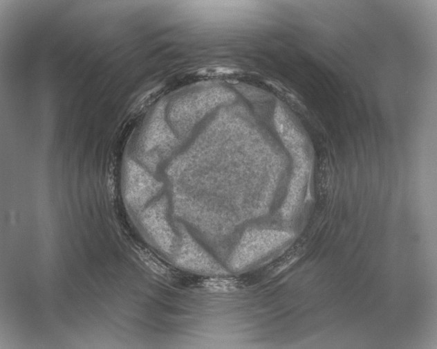 X0000059250762200511111641