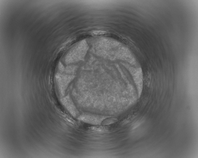 X0000059250763200511111641