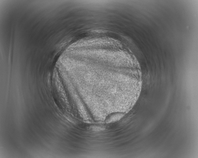 X0000059250765200511111641