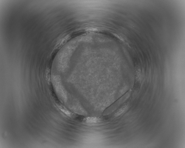 X0000059250766200511111641