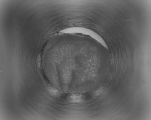 X0000059250767200511111641