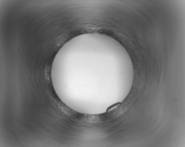 X0000059250768200511111641