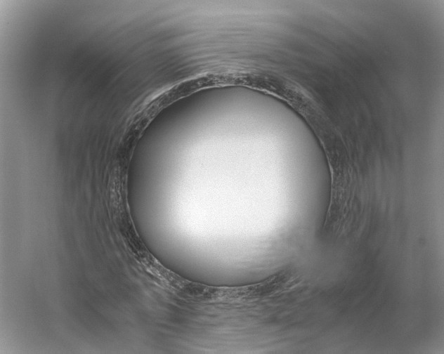 X0000059250773200511111640