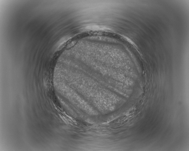 X0000059250775200511111640