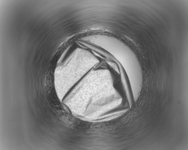 X0000059250776200511111640