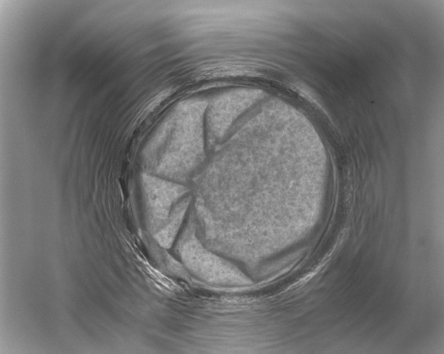 X0000059250777200511111640