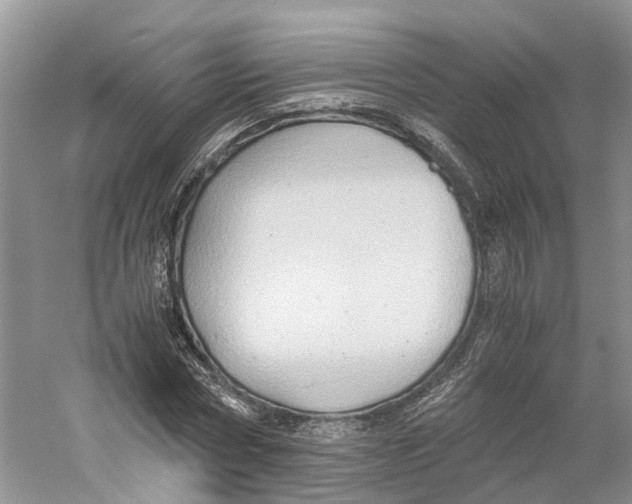 X0000059250778200511111640