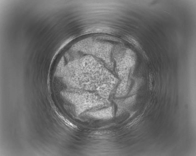 X0000059250780200511111640