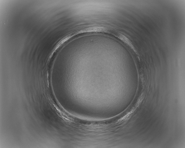 X0000059250781200511111640