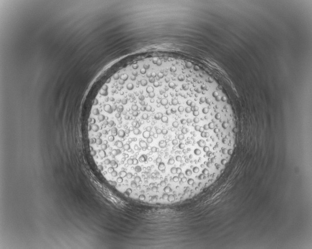 X0000059250784200511111640