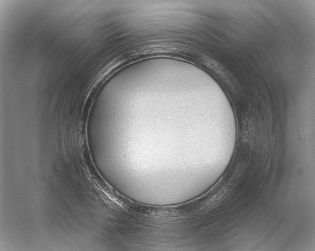 X0000059250786200511111640