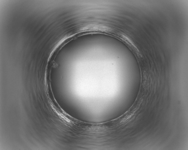 X0000059250788200511111640