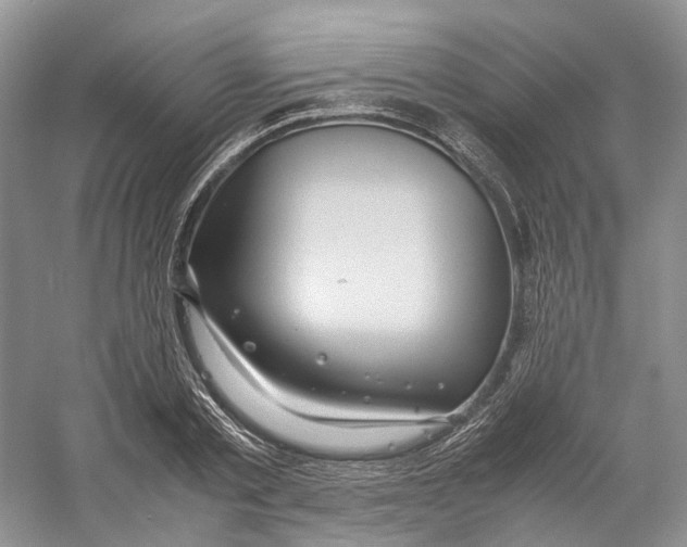 X0000059250789200511111640