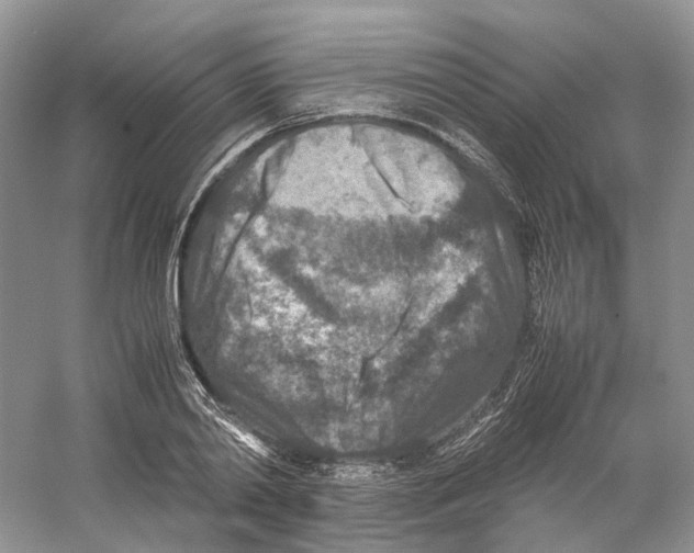 X0000059250790200511111640